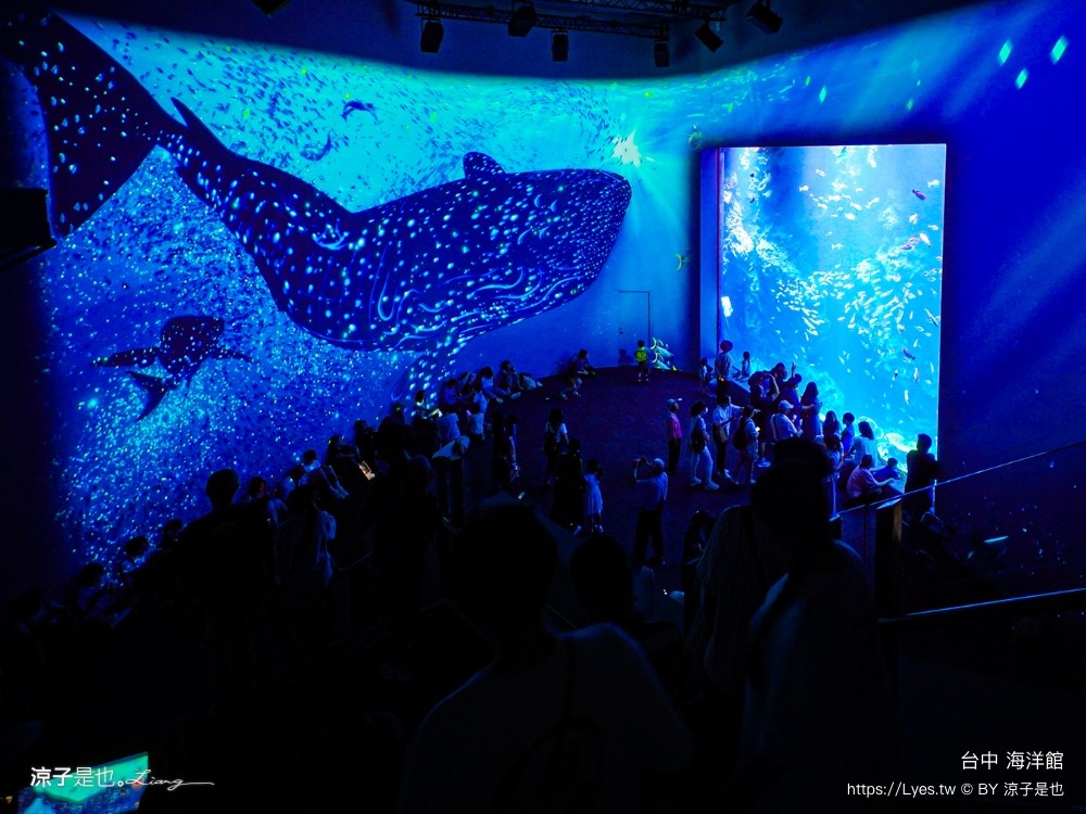台中海洋館 門票優惠 交通 八大展區 免費票 台中親子景點 台中景點推薦 懶人包 攻略 必看特色