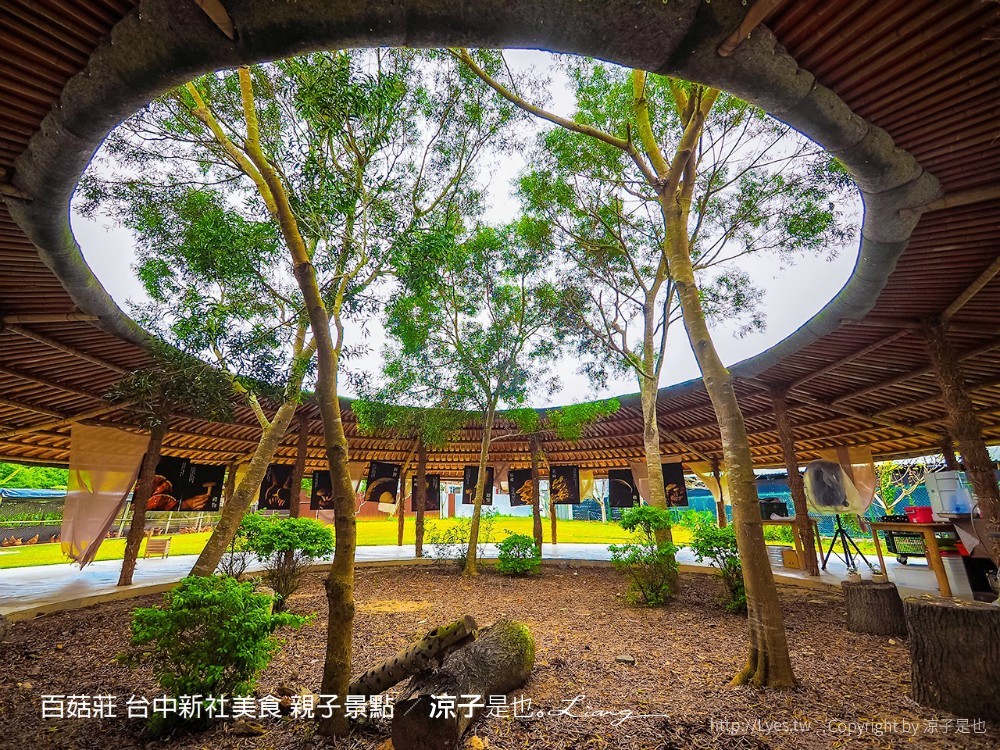 百菇莊 台中新社美食 親子景點