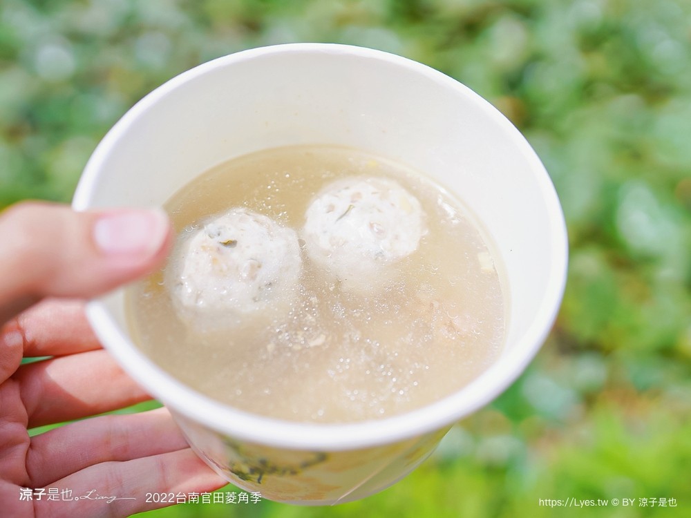 台南親子景點 2022 台南官田菱角季 官田菱角節 採紅菱體驗 划船 台南伴手禮