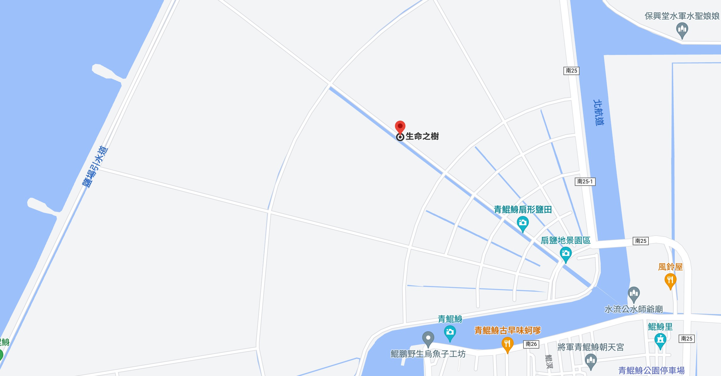 生命之樹 台南景點 鹽田裝置藝術 海上步道 青鯤鯓 扇形鹽田 台南 將軍景點 IG 拍照 打卡