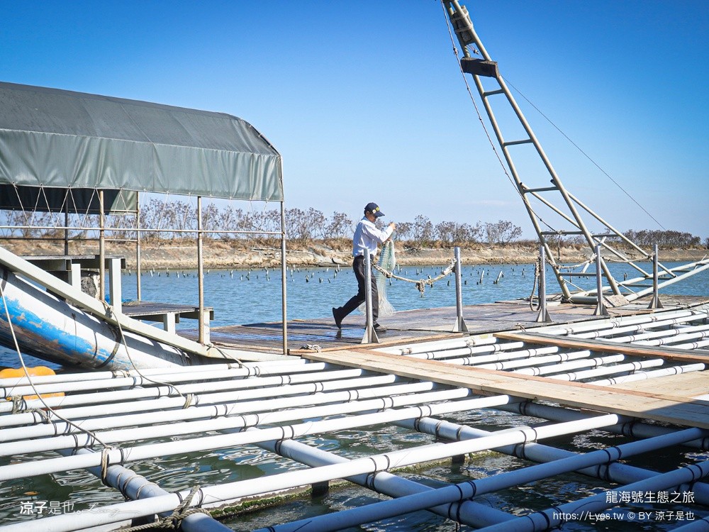 龍海號生態之旅 台南七股景點 台南景點 烤蚵吃到飽 親子景點 台南生態旅遊