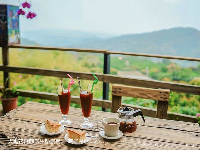 大鋤花間 咖啡生態農場 菜單 台南景點 台南東山175咖啡公路 咖啡館 景觀餐廳