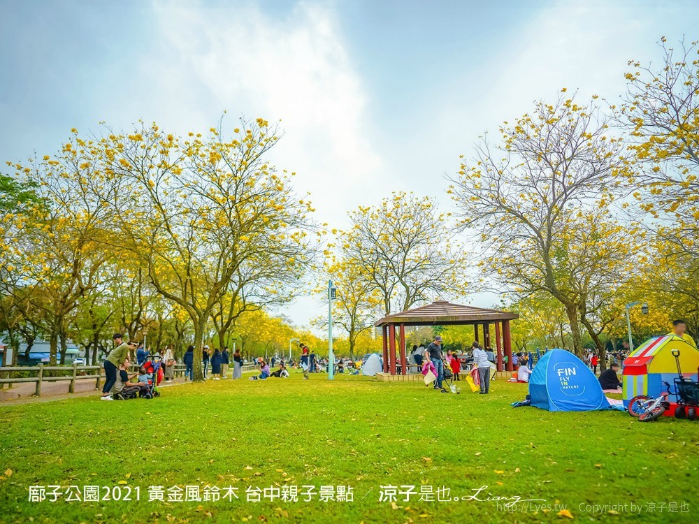 廍子公園2021 黃金風鈴木 台中親子景點