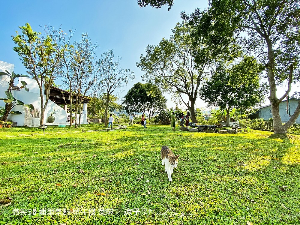 微笑58 埔里景點 早午餐 菜單 民宿 住宿 餐廳 美食 親子景點 貓咪