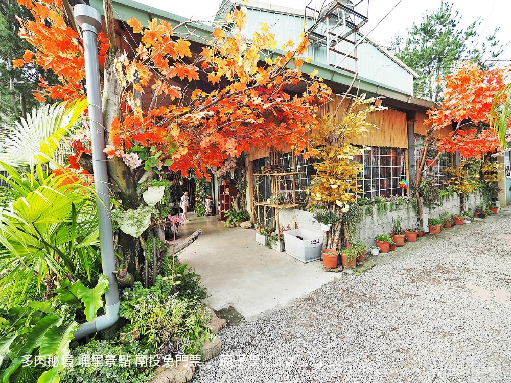 多肉秘境 埔里景點 南投免門票