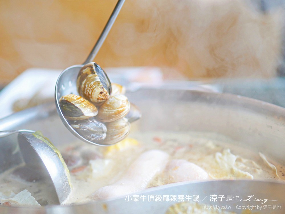 小蒙牛頂級麻辣養生鍋 台中 文心 麻辣火鍋吃到飽 崇德商圈 哈根達司 和牛 美食 菜單