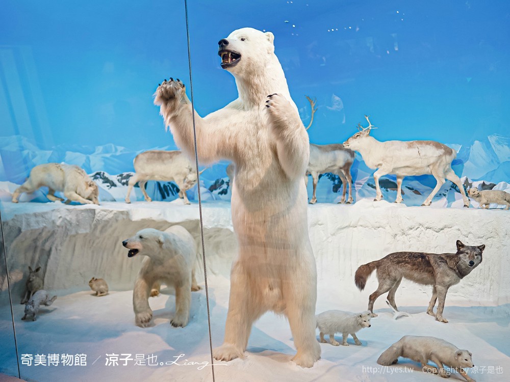 南博ONE 慢遊手札 2022臺南博物館節 奇美博物館 門票優惠 山上花園水道博物館 交通