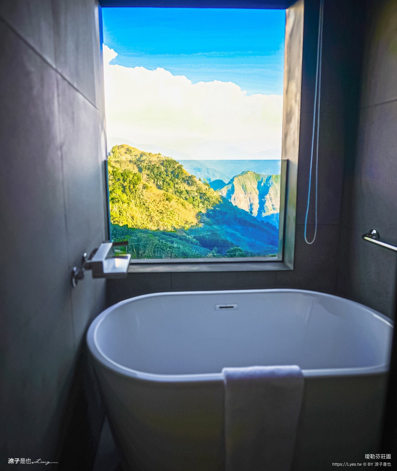 璦勒芬莊園 璦勒芬莊園 嘉義民宿 阿里山住宿 隙頂民宿 親子民宿 嘉義飯店 新開幕 阿里山日出 嘉義景觀民宿 二延平步道住宿