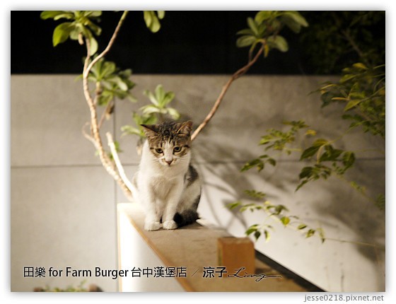 台中-田樂 美村路一店 for Farm Burger 台中好吃漢堡店之老房子改造風