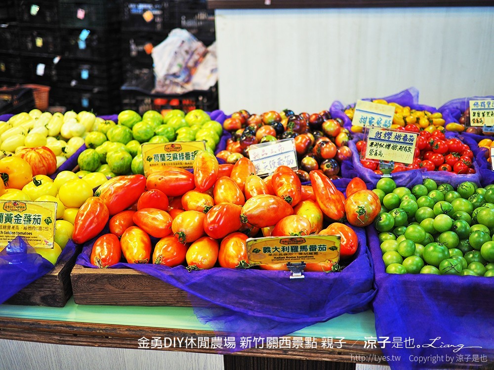 金勇DIY休閒農場 新竹關西景點 親子