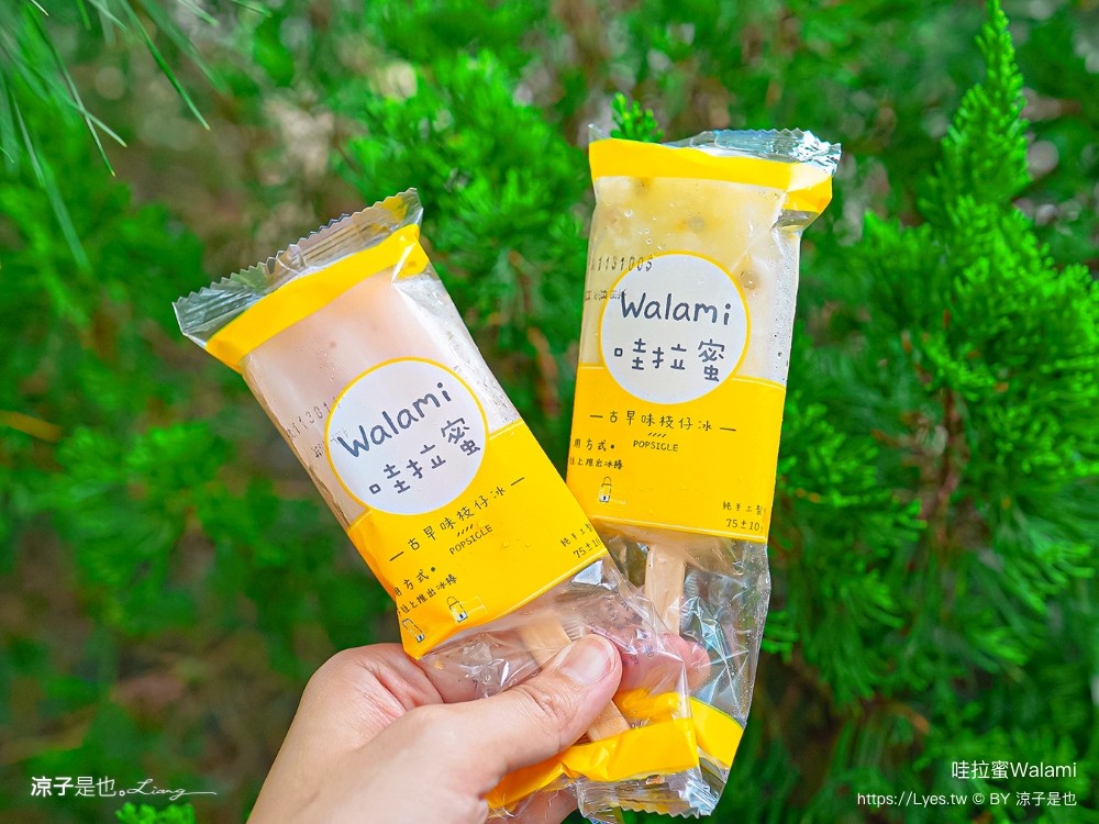 哇拉蜜冰店 菜單 南投景點 日月潭 手工法式冰淇淋 魚池冰品 庭園餐廳 便宜 古早冰棒 cp值