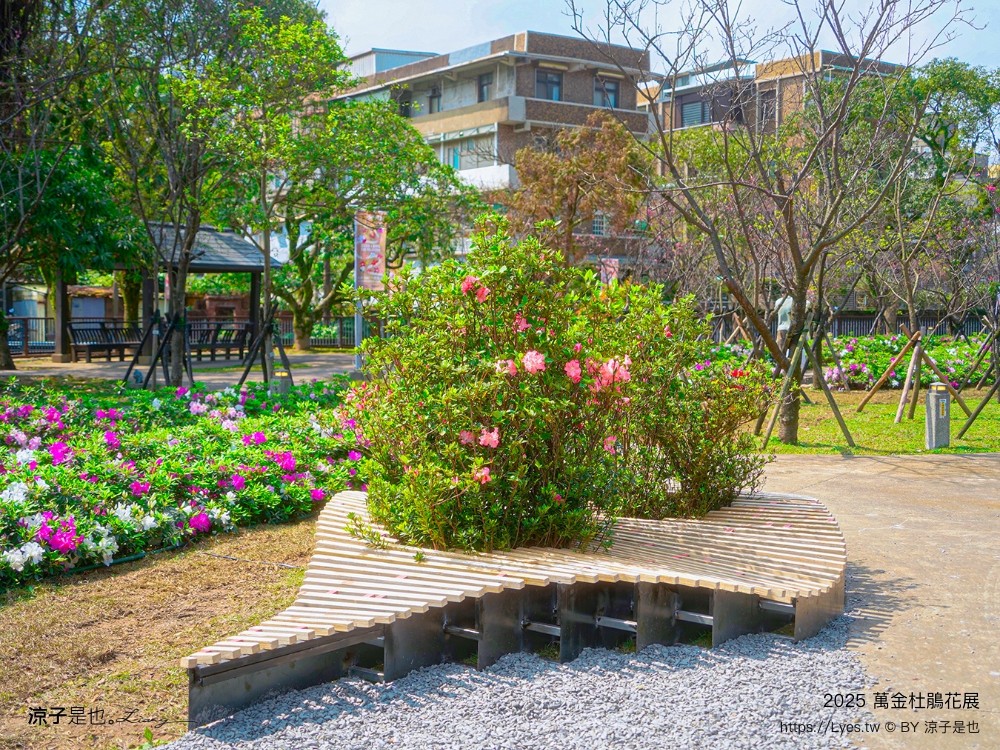 萬金杜鵑花展2025 金山中山溫泉公園 新北景點 北海岸活動 交通 展期 花藝造景 打卡必拍 懶人包
