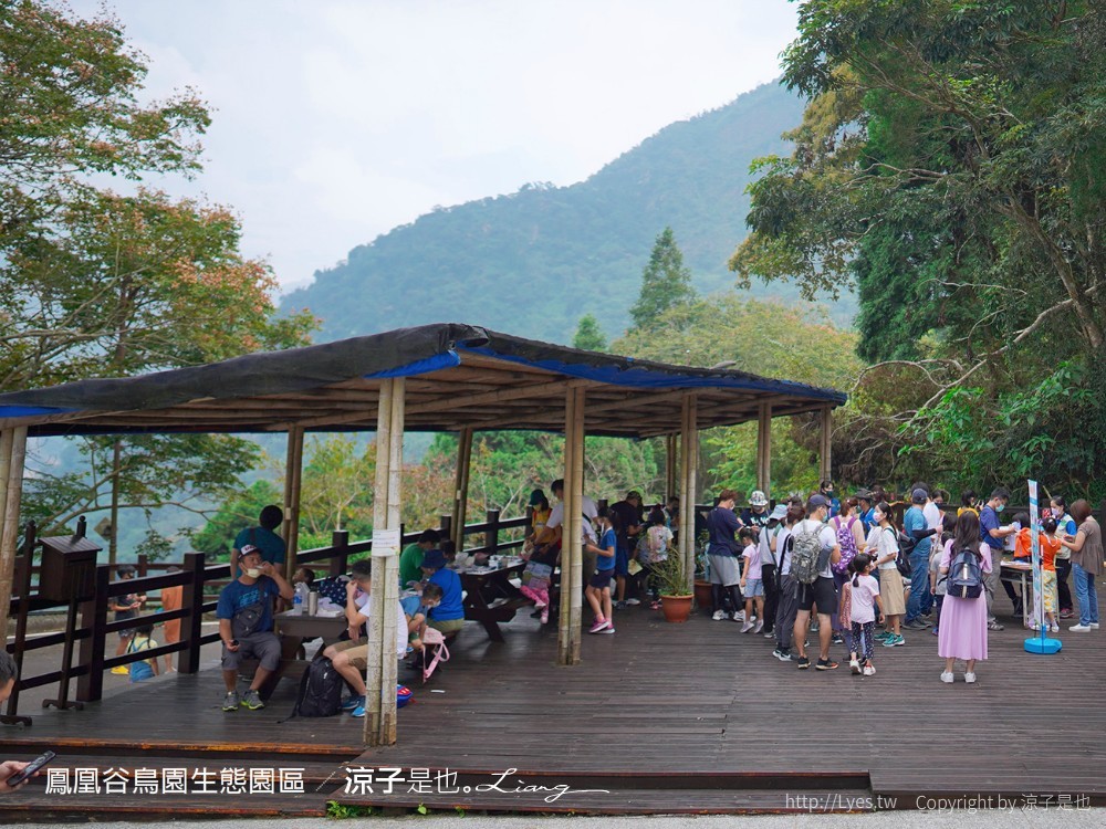 鳳凰谷鳥園生態園區 南投 親子景點 森林溜滑梯 賞鳥 DIY 鹿谷 步道 吊橋 瀑布