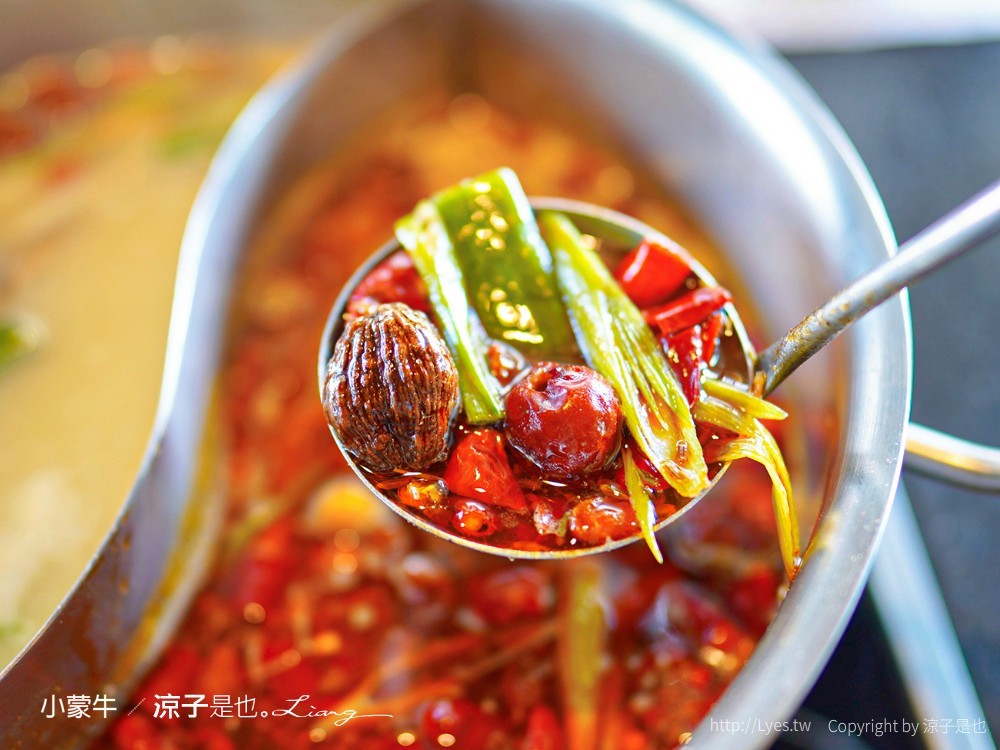 小蒙牛頂級麻辣養生鍋 台中 台灣大道餐廳 麻辣火鍋吃到飽 哈根達司 和牛 美食 菜單 優惠 兒童節活動