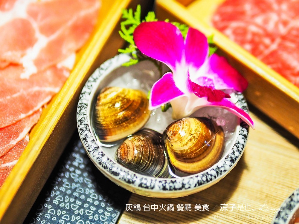 灰鴿 台中火鍋 餐廳 美食