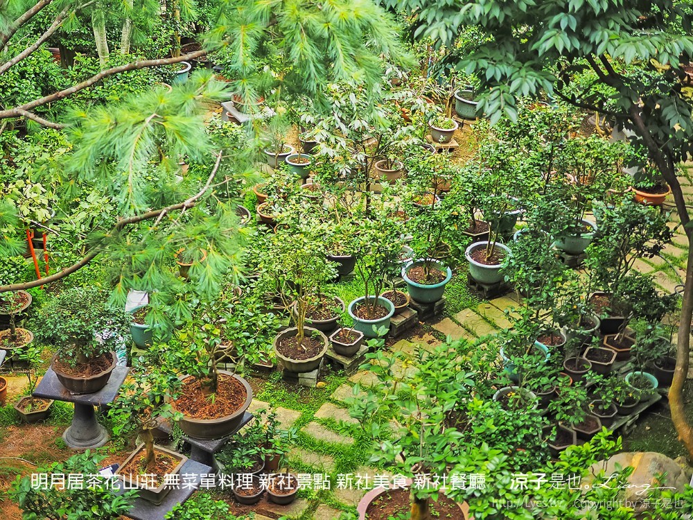 明月居茶花山莊 無菜單料理 新社景點 新社美食 新社餐廳