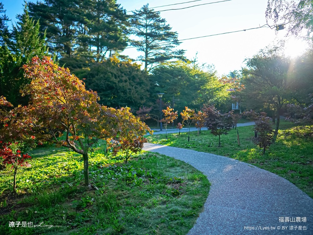 福壽山農場 民宿房型 住宿 露營 蘋果