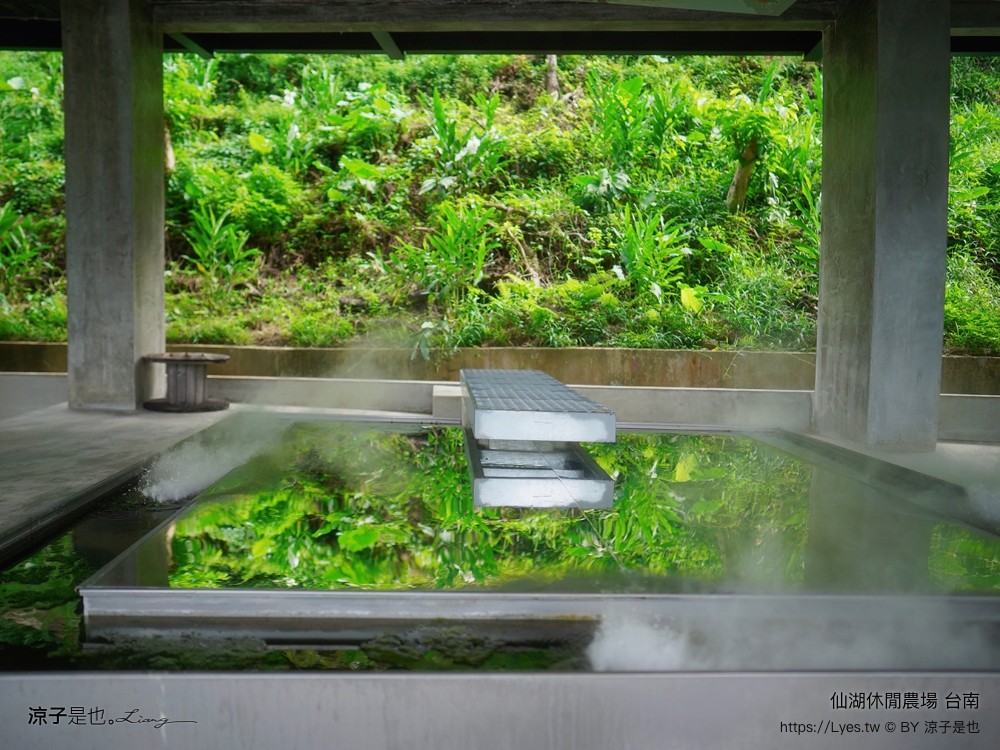 仙湖農場 仙湖休閒農場 住宿房型 台南民宿 早餐 餐廳 菜單 無邊際泳池 小動物 親子飯店 台南景點 龍眼