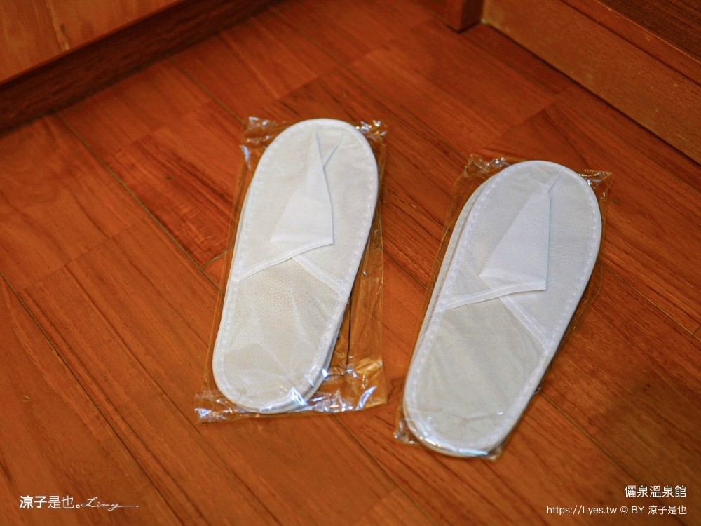 儷泉溫泉館 台南關子嶺 泥漿溫泉 溫泉飯店 雙人湯屋 泡湯 客房房型 房價 優惠 關子嶺住宿推薦