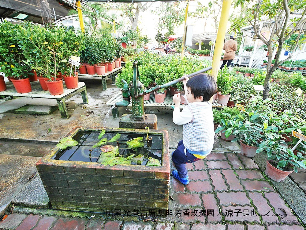田尾 窄巷古厝咖啡 芳香玫瑰園