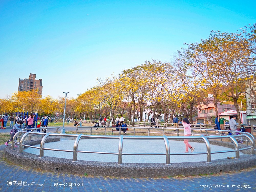 廍子公園2023 黃金風鈴木 台中親子景點 野餐 賞花