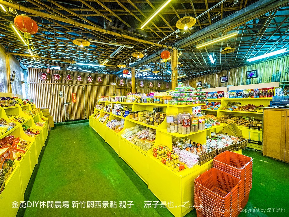 金勇DIY休閒農場 新竹關西景點 親子