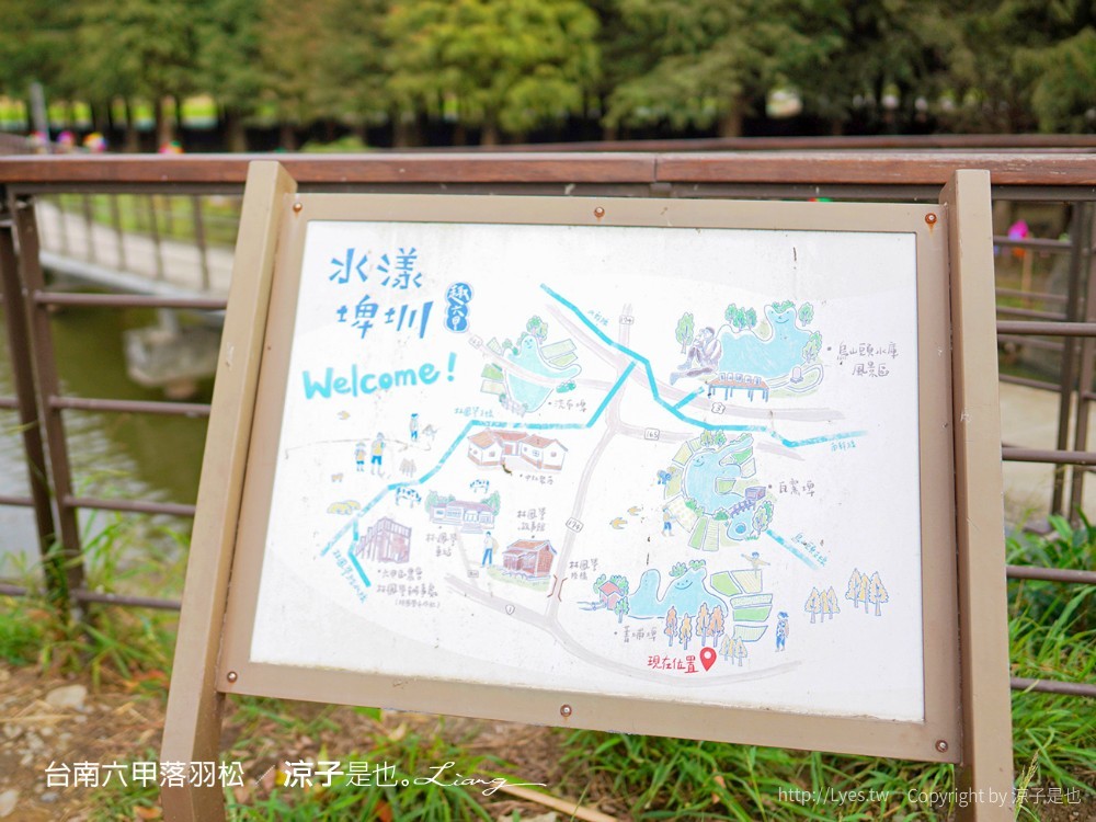 台南六甲落羽松森林秘境 台南景點 親子 2022 交通 停車場 台南一日遊 季節
