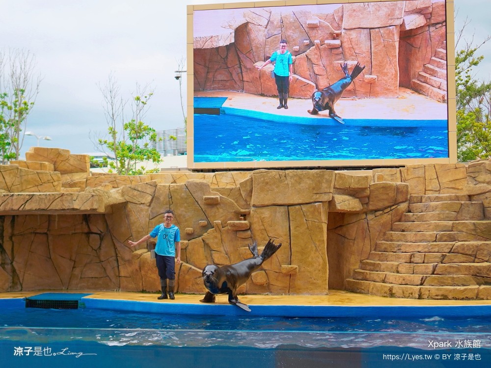xpark水族館 門票優惠 桃園 親子景點 最新攻略 必看展區 美食餐廳 交通 停車 住宿
