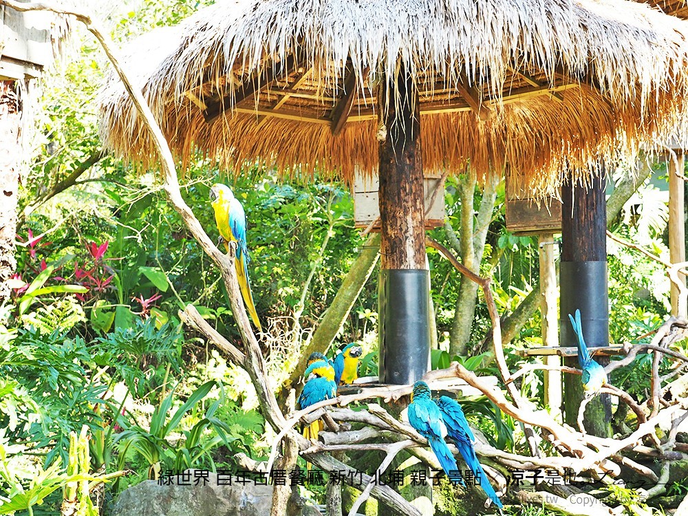 綠世界 百年古厝餐廳 新竹 北埔 親子景點