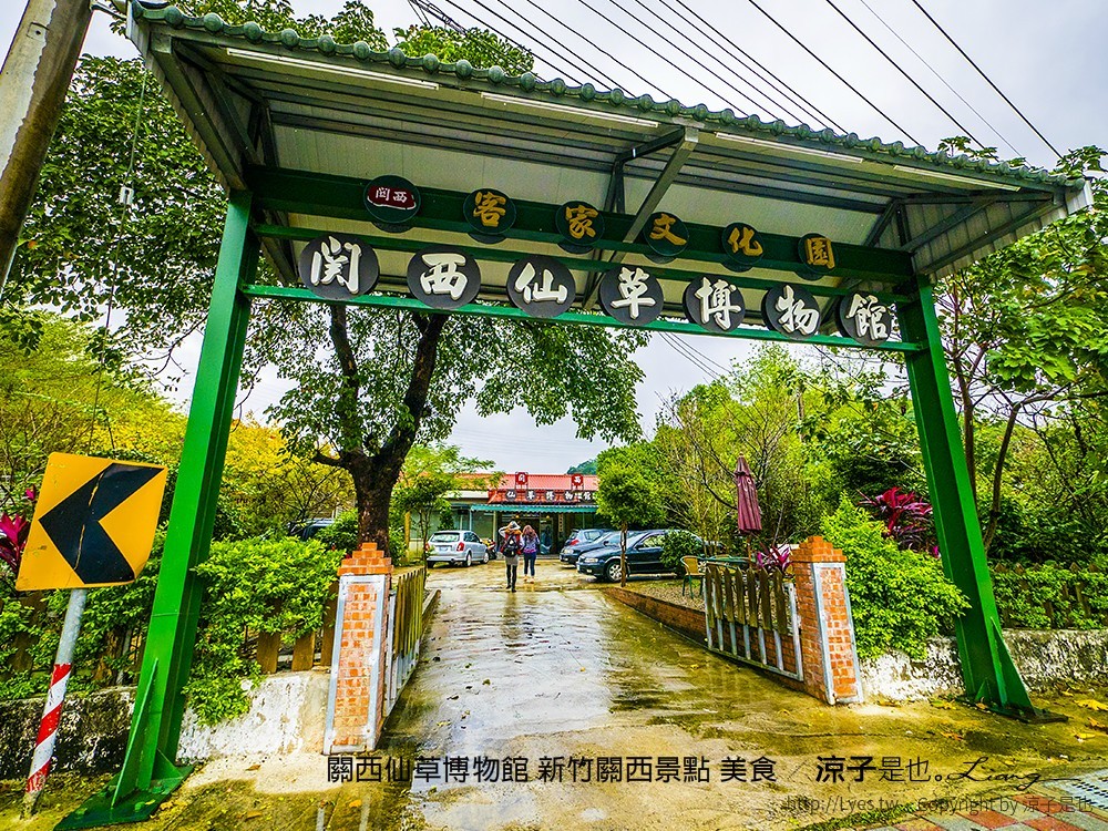 關西仙草博物館 新竹關西景點 美食