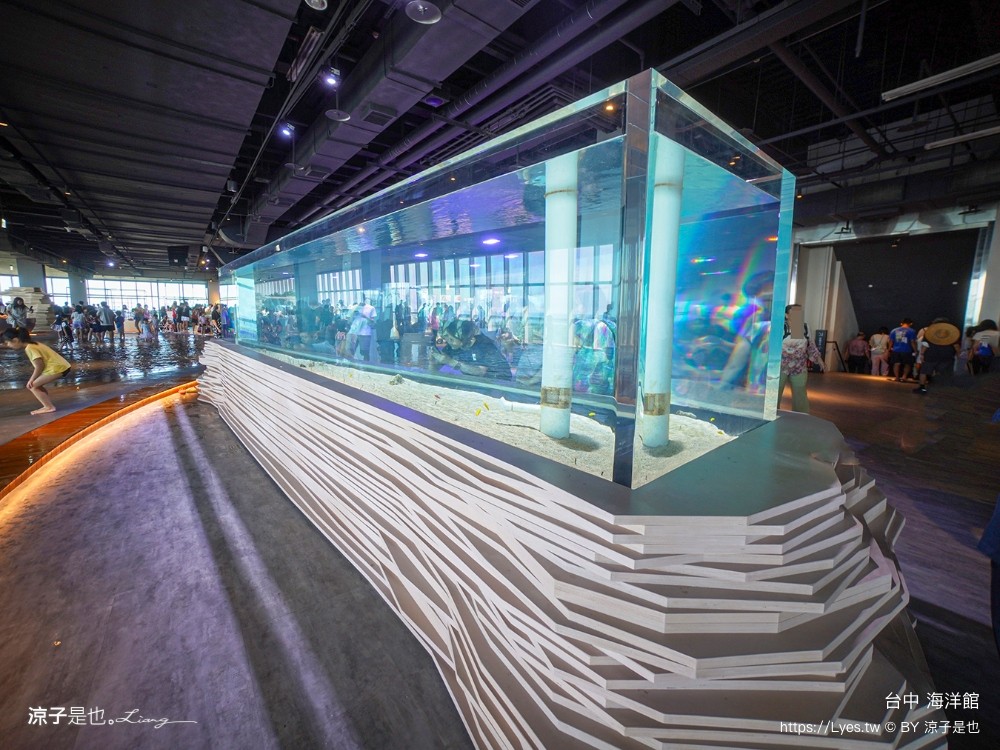 台中海洋館 門票優惠 交通 八大展區 免費票 台中親子景點 台中景點推薦 懶人包 攻略 必看特色