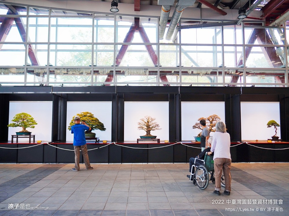 2022中臺灣 氣墊遊戲區 溜滑梯戲水池 農產品展售 美食小吃