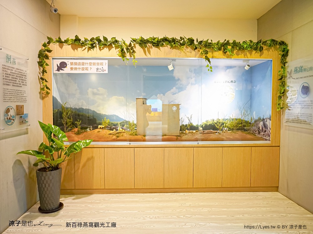 新百祿燕窩觀光工廠 免門票 台南景點 親子景點 燕窩DIY 台南伴手禮 互動體驗 新百祿燕窩評價