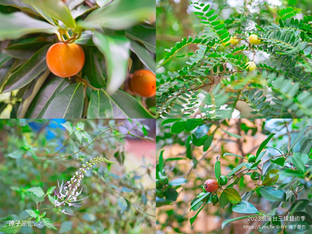 2023 浪漫台三線藝術季 台中東勢 接駁車 預約 開幕 falabidbog花啦嗶啵 東勢旅遊 美食 台北 桃園 新竹 苗栗