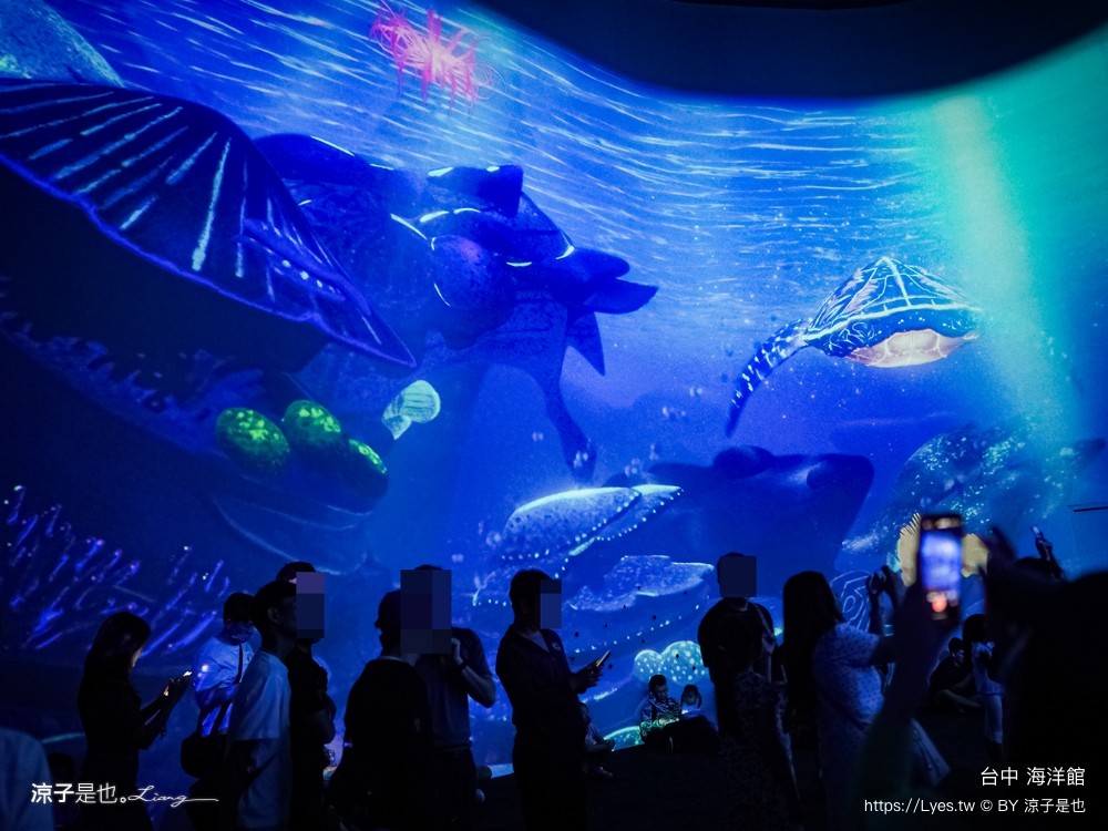 台中海洋館 門票優惠 交通 八大展區 免費票 台中親子景點 台中景點推薦 懶人包 攻略 必看特色