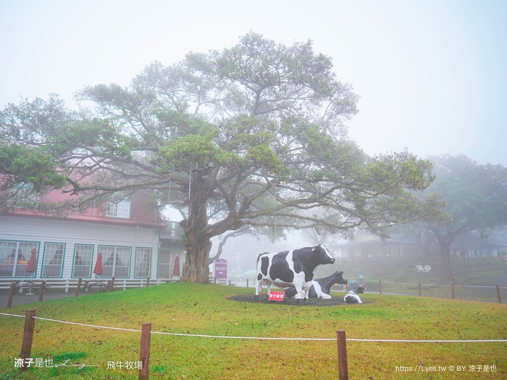 苗栗 飛牛牧場住宿 房型 早餐 四人房 2天1夜 園區門票 票價 苗栗親子飯店推薦