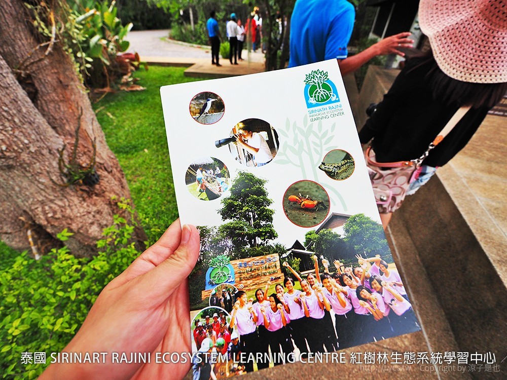 泰國 SIRINART RAJINI ECOSYSTEM LEARNING CENTRE 紅樹林生態系統學習中心