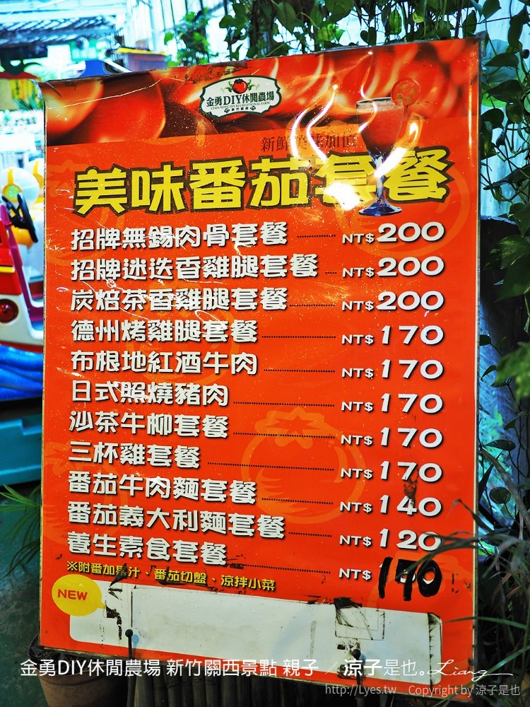 金勇DIY休閒農場 新竹關西景點 親子