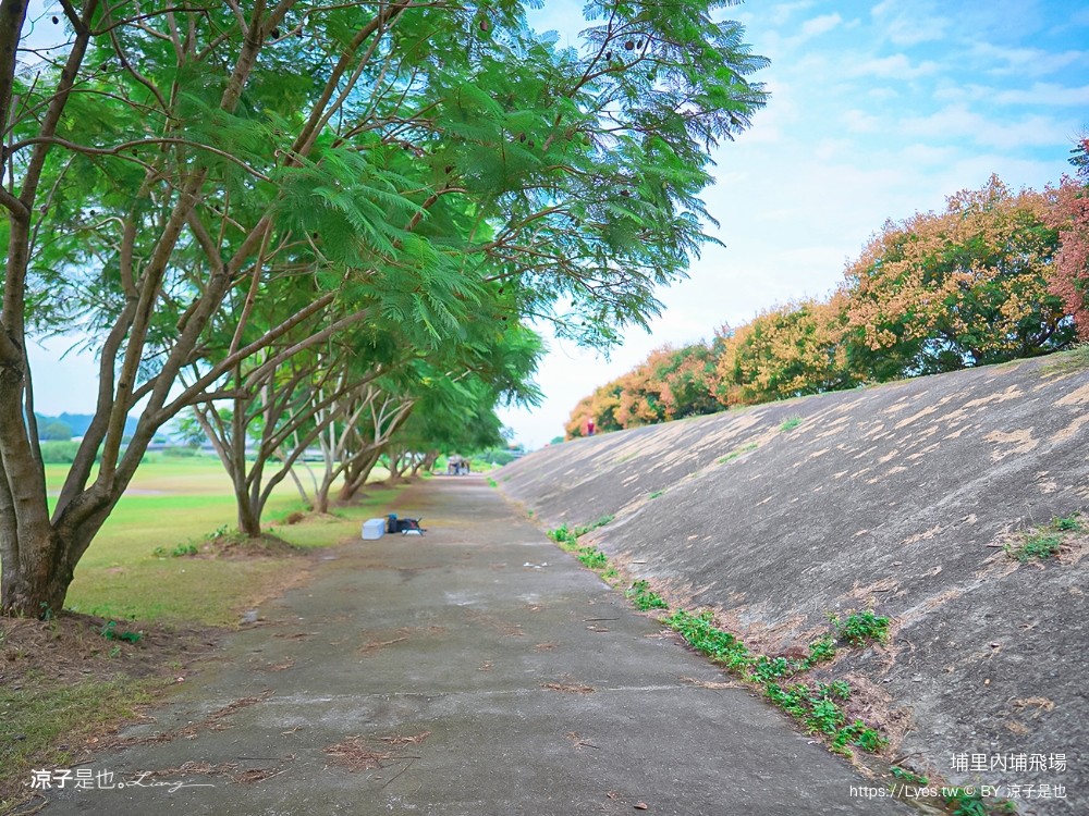 埔里景點 埔里內埔飛場 欒樹親子景點 南投藍花楹花道 賞花秘境 草地野餐 放風箏 玩球