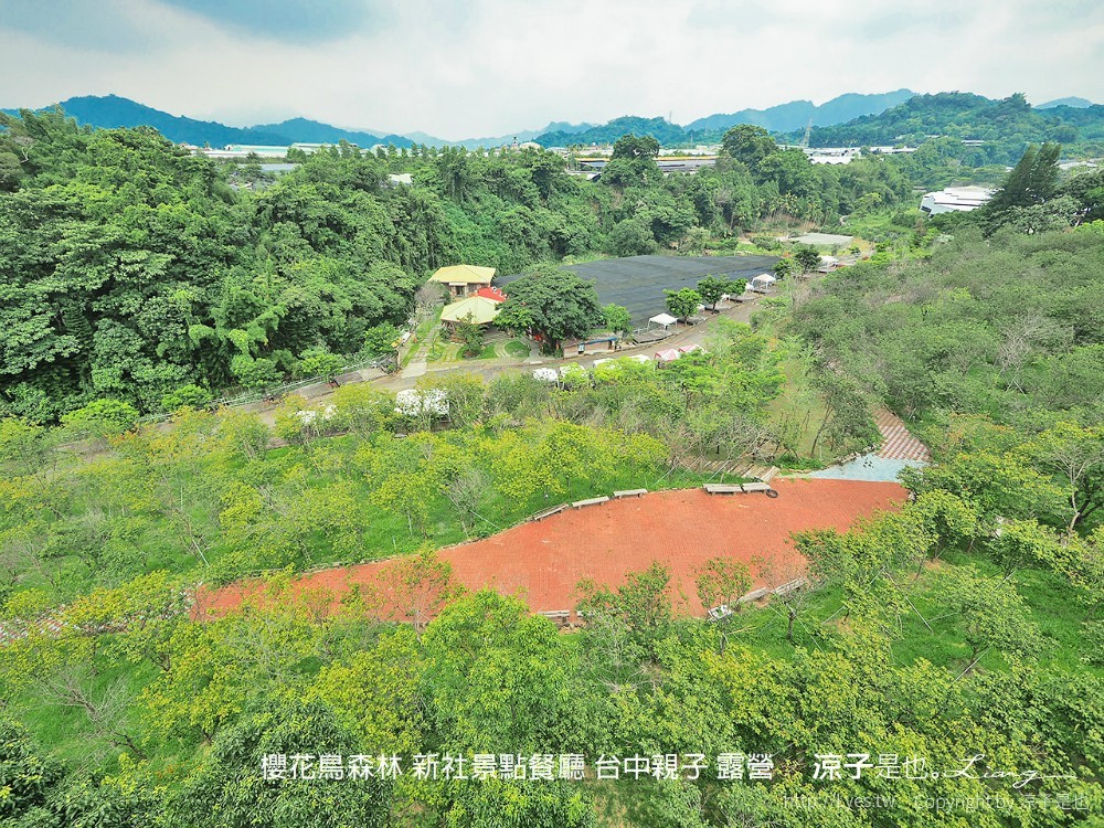 新社景點-櫻花鳥森林 迷你小火車x溜滑梯戲水區x鸚鵡放飛秀x露營 不止花好拍 親子旅遊也好玩！