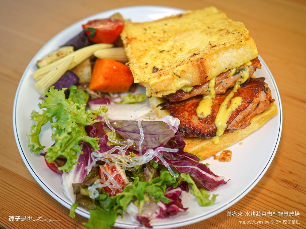 萬客來水耕蔬菜微型智慧農場 菜單 台南餐廳 台南美食 玻璃屋餐廳 台南景觀餐廳 早午餐