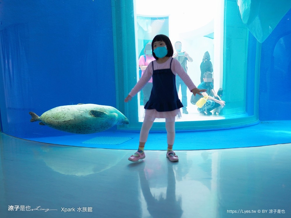 xpark水族館 門票優惠 桃園 親子景點 最新攻略 必看展區 美食餐廳 交通 停車 住宿