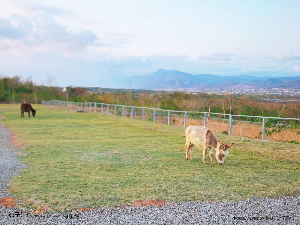 海崖灣 菜單 門票 屏東關山夕陽 墾丁景點 親子景點 墾丁海景 水豚君 草泥馬 笑笑羊