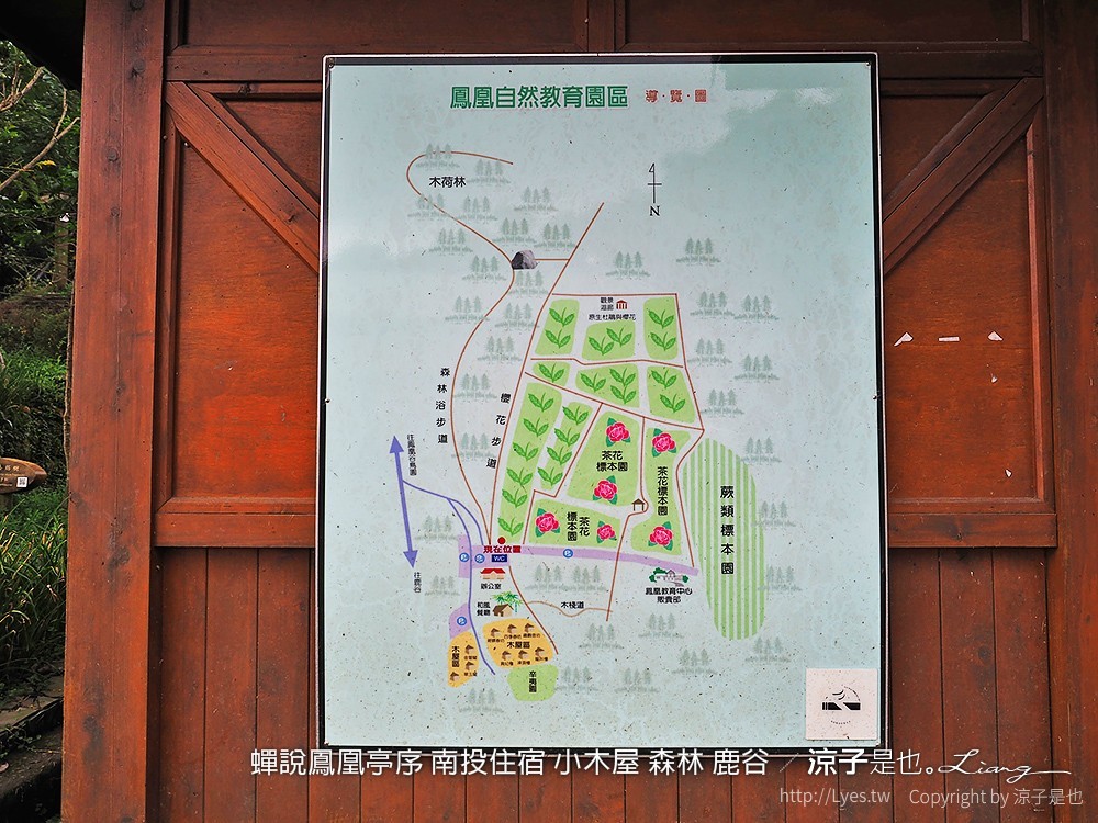 蟬說鳳凰亭序 南投住宿 小木屋 森林 鹿谷