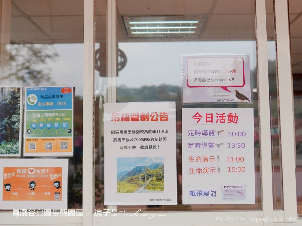 鳳凰谷鳥園生態園區 南投 親子景點 森林溜滑梯 賞鳥 DIY 鹿谷 步道 吊橋 瀑布