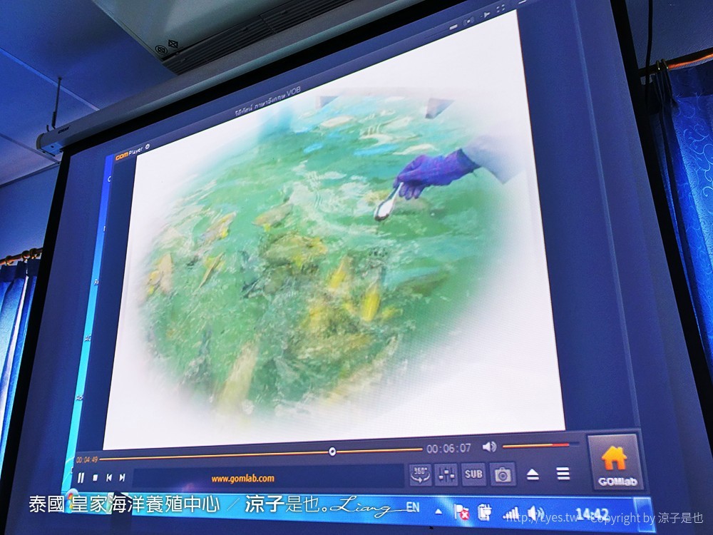 泰國 皇家海洋養殖中心