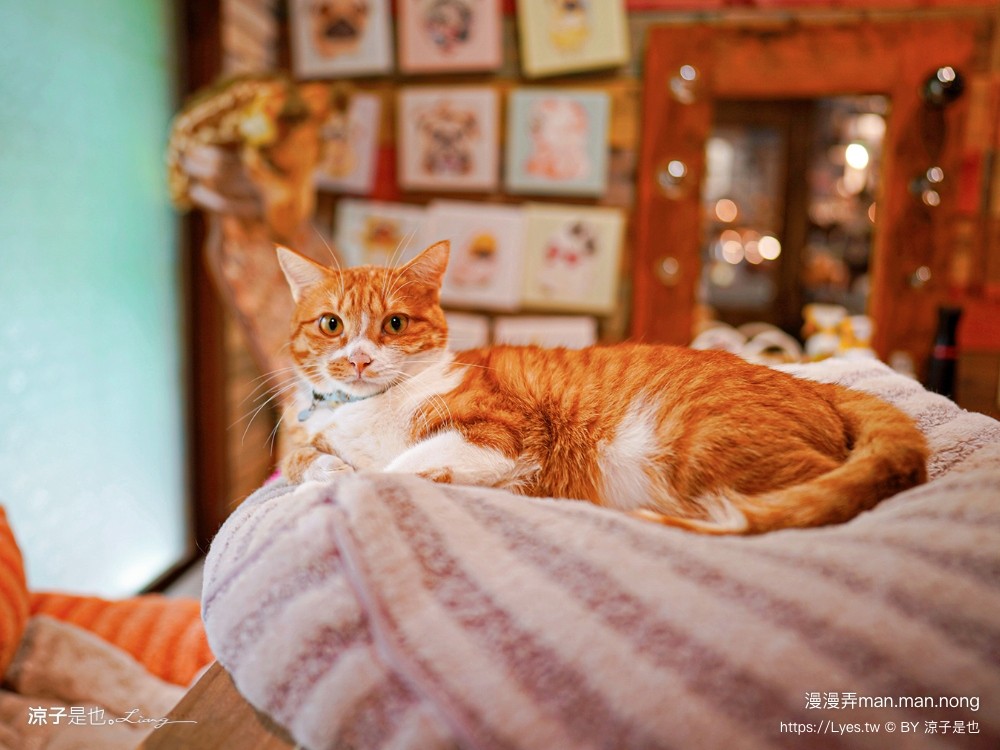 漫漫弄 菜單 台南南區美食 台南咖啡館 老宅餐廳 早午餐 義大利麵 漢堡 下午茶