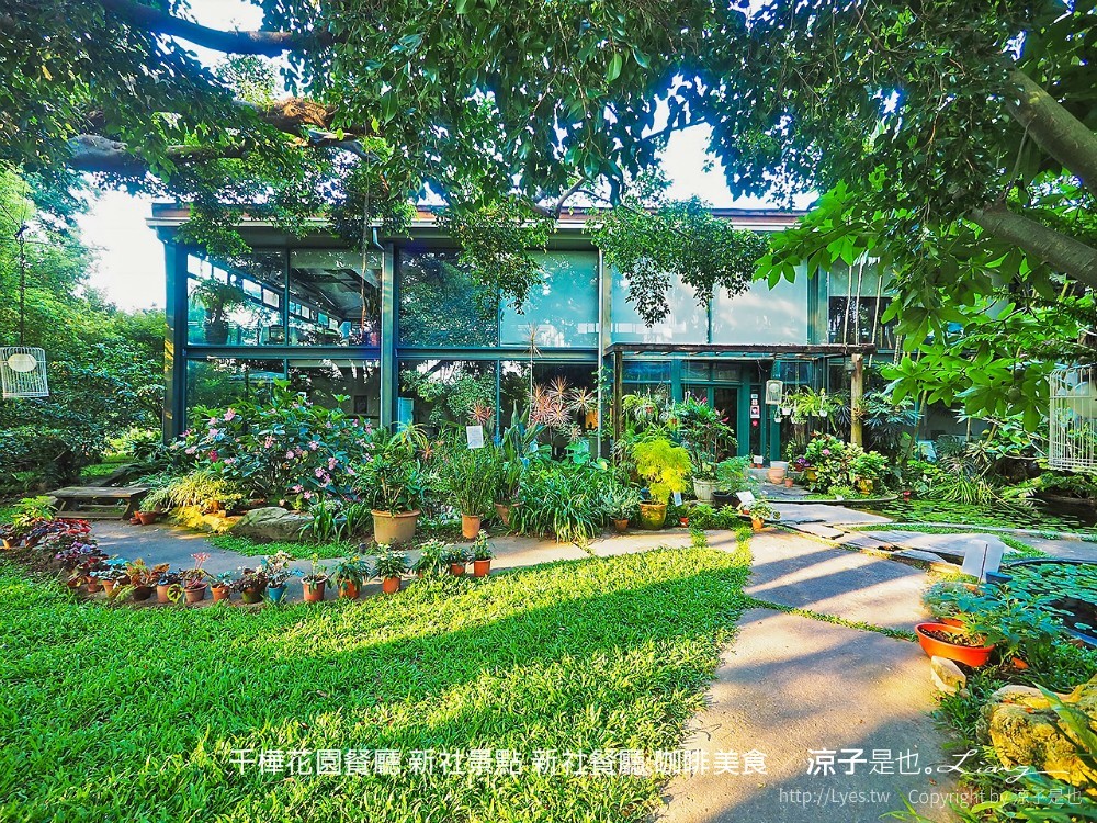 千樺花園餐廳 新社景點 新社餐廳 咖啡美食