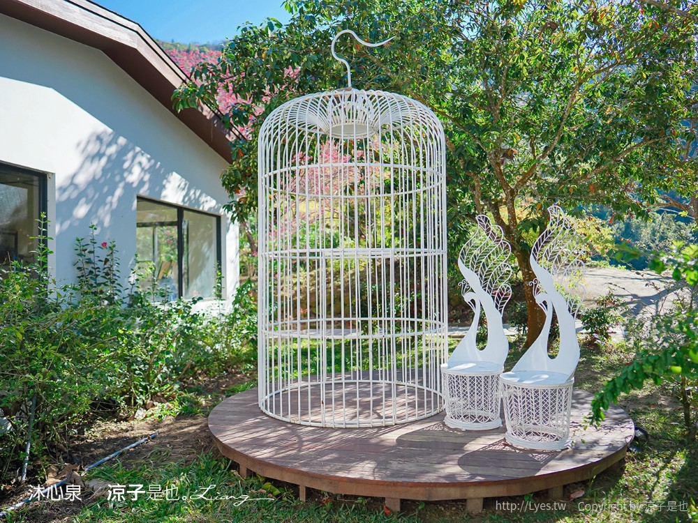 沐心泉休閒農場 2022 櫻花花況 票價 台中景點 預約 新社 親子景點 接泊車 白雪木 黃金楓