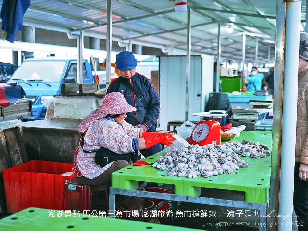 澎湖景點 馬公第三漁市場 澎湖旅遊 魚市搶鮮趣